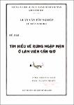 Hình ảnh thu nhỏ