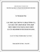 Hình ảnh thu nhỏ