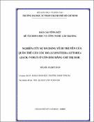 Hình ảnh thu nhỏ